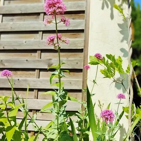 La Faraday Casa de Férias Carcassonne