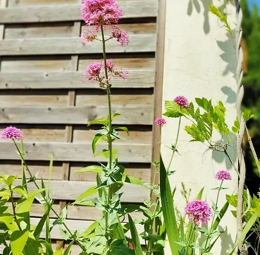 La Faraday Holiday home Carcassonne